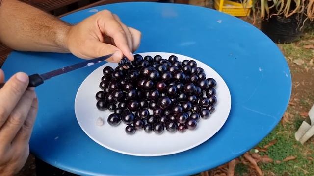Джаботикаба (Plinia cauliflora), екзотичен плод от Южна Америка смотреть онлайн