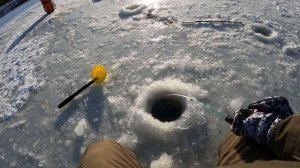 Ловля РОТАНА. Рыбалка на льду. Зимняя рыбалка. Ловля Ротана зимой. 2-й выезд.