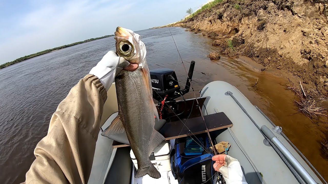 Рыбалка недалеко от моста с 5000 купюры смотреть онлайн