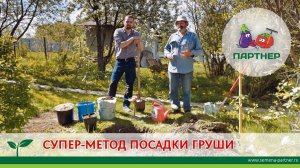 СУПЕРМЕТОД ПОСАДКИ ГРУШИ