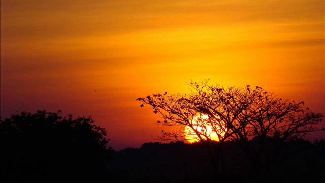 la mujer llanera benito quiroz смотреть онлайн