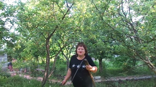 В моем садочке трава по пояс...И снова глазам страшно,а руки делают... смотреть онлайн