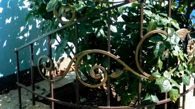 Красивое ограждение для роз кустовых , заборчик для цветов своими руками смотреть онлайн