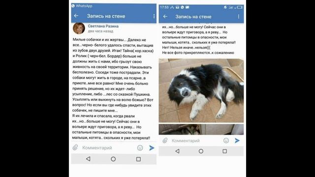 Светлана Разина против зоозащитников: почему певицу обвиняют в издевательствах над животными смотреть онлайн