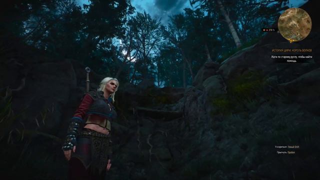 #5 The Witcher 3: продолжаем проходить квесты Велена вместе с Геральтом смотреть онлайн