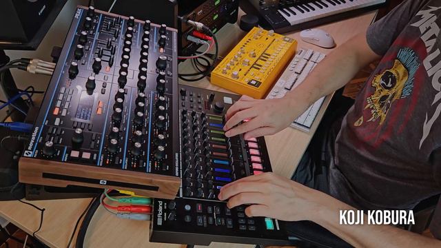 Blood Rave / Blade Techno (New Order - Confusion) #novation Peak + #behringer TD-3 + #roland TR-8 смотреть онлайн