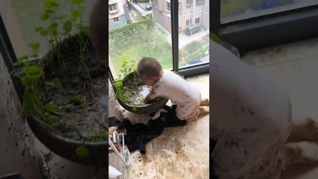 Cмех до слез (часть 6) Лучшие приколы и мемы 2024 смотреть онлайн