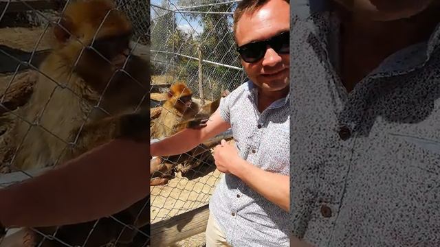 Зоопарк Friguia Park. (Хаммамет, Тунис) 2019 г. смотреть онлайн