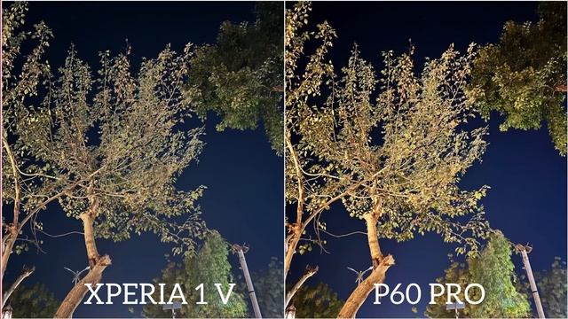 Sony Xperia 1V vs Huawei P60 Pro Night Mode Camera Test смотреть онлайн