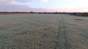 Достопримечательности Оршанского района. Орша.