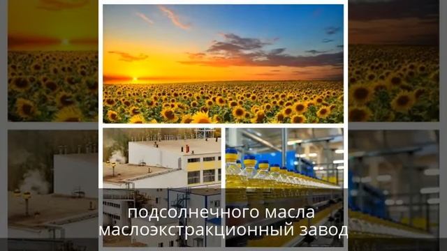 Продается завод по производству подсолнечного масла (маслоэкстракционный завод) смотреть онлайн