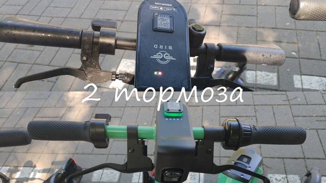 Шеринги электросамокатов в Эстонии - ВСЯ ПРАВДА | сравнение Bolt, Bird и Tuul смотреть онлайн