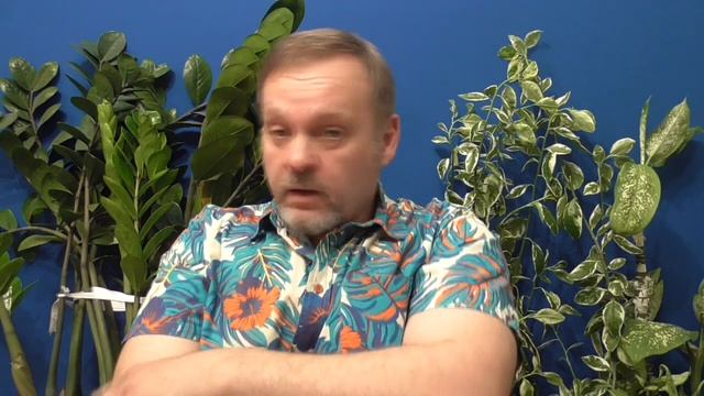 Абсурд или Новая Нормальность. смотреть онлайн