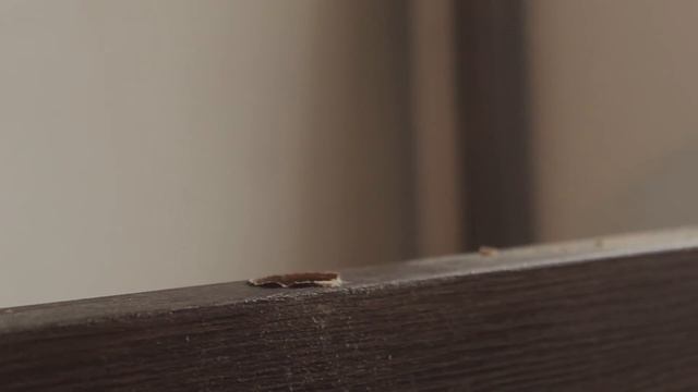 Процесс установки межкомнатных дверей смотреть онлайн