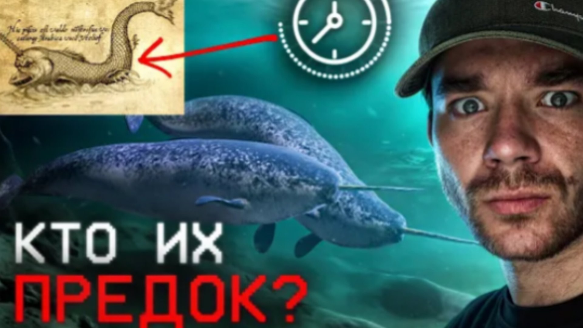 Что нашли на пропавшем корабле_ _ Кого боится нарвал_ _ Что значит красная вода_ _ Размишления