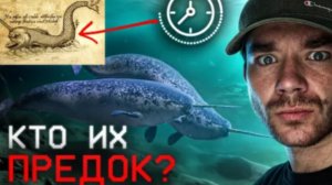 Что нашли на пропавшем корабле_ _ Кого боится нарвал_ _ Что значит красная вода_ _ Размишления