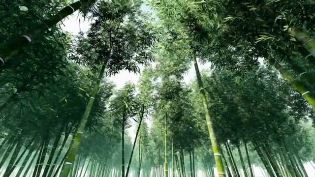 Relaxing Music -Bamboo Flute Music, Bedtime, Meditation Music, Yoga, Spa Music(No Copyright Music) смотреть онлайн