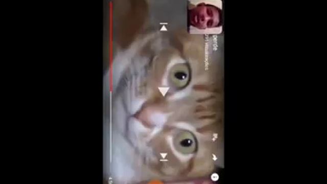 React news se você rir perde!. смотреть онлайн