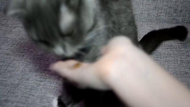 Слишком много информации о... БРИТНЮШКЕ!