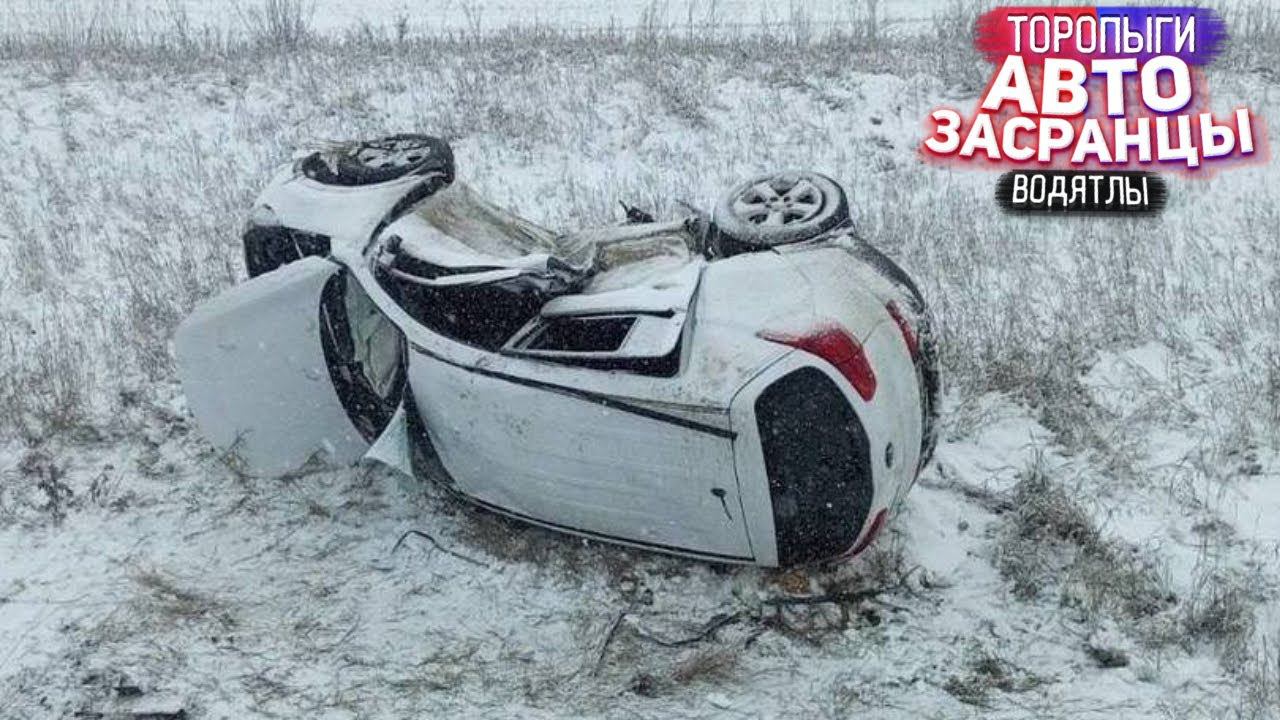 Как они так? Торопыги и Водятлы Осенний Сезон смотреть онлайн