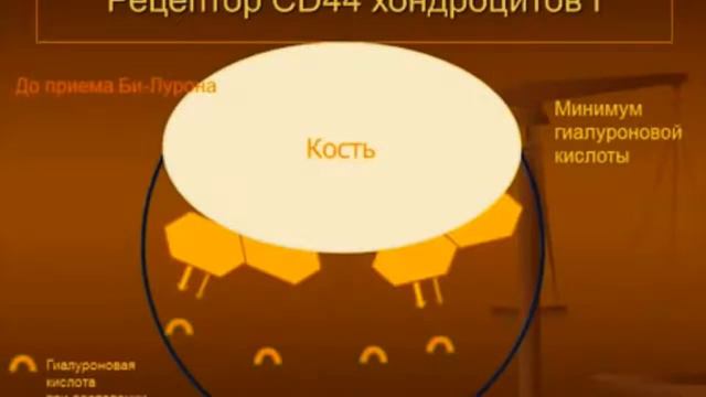 Доктор Нильс Душек о препарате Би Лурон (B Luron) смотреть онлайн