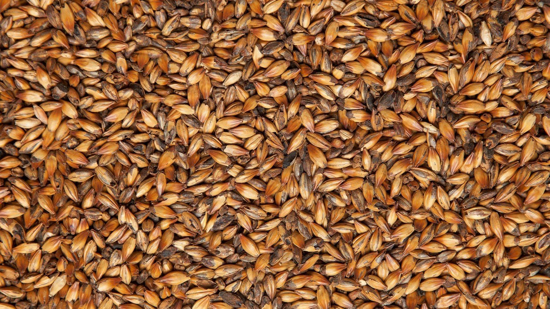 Солодовый мацерат. Как виски, только чище! смотреть онлайн