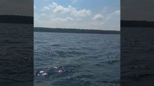 Лодка Флагман DK 350