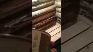 Как избавиться от плесени (грибка)в бане