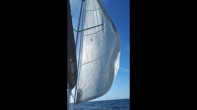 Test headsail Code 0 Elvström - Let's Sea - Bavaria C45 смотреть онлайн