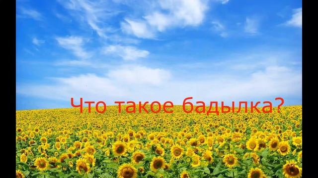 Викторина на знание кубанской балачки "Погутарим" смотреть онлайн