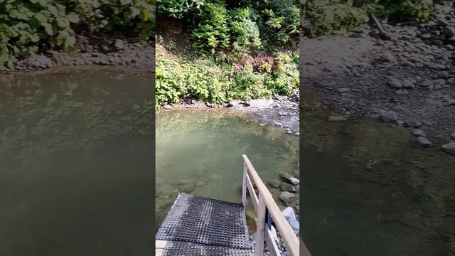 Едем на купель в Красную Поляну 960.