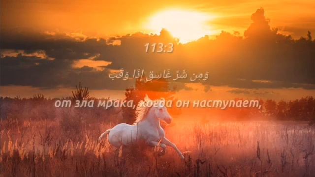 Красивое чтение суры Аль-Фаляк | Мишари Рашид смотреть онлайн