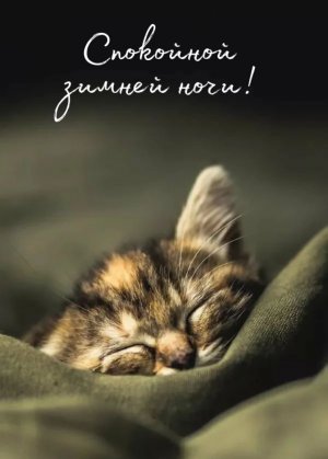 Спокойной зимней ночи и Сказочных снов! Добрая зимняя ночь!