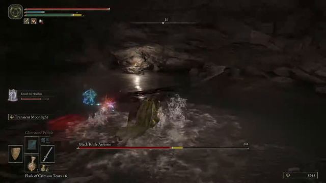 Black Knife Assassin - Elden Ring Boss Fight смотреть онлайн