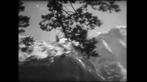 И парень тот — он тоже здесь, среди стрелков из «Эдельвейс». Их надо сбросить с перевала!