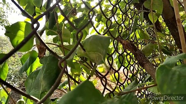 Как поймать большую рыбу.?? смотреть онлайн