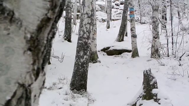 Russia Taganay Zlatoust / Златоуст Таганай Двуглавая Сопка Центральная Усадьба Национальный Парк