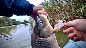 ЧТО ЕЩЕ МОГЛО ПРОИЗОЙТИ??? ЧП за ЧП -ЗАБРАЛИСЬ в низовья Астрахани с Женей рыбалка 68. Рыбалка 2022.