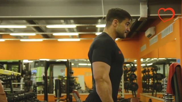 Подъем плеч с гентелями на «шраги» смотреть онлайн
