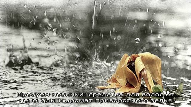 Пробуем новинки: средства для волос от непогоды и аромат приворотного зелья смотреть онлайн