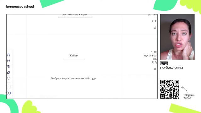 Весь 7 класс за 3 часа. Пасечник, Пономарева. Биология: зоология от одноклеточных до млекопитающих смотреть онлайн