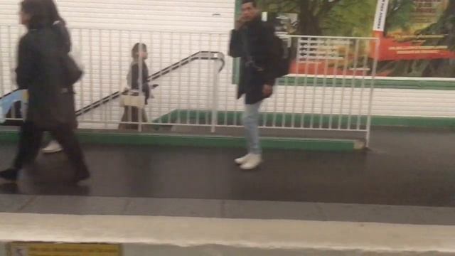 Парижское метро - На экскурсию по Парижу ! смотреть онлайн