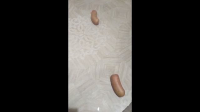 Россия-Египет смотреть онлайн