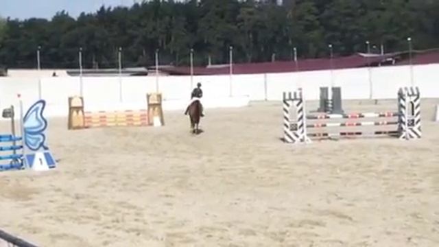 Колибри 100 см смотреть онлайн