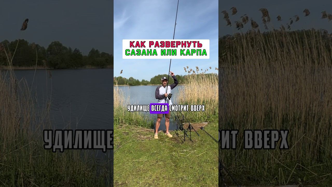 Проверенный способ как развернуть карпа или сазана #карпфишинг смотреть онлайн