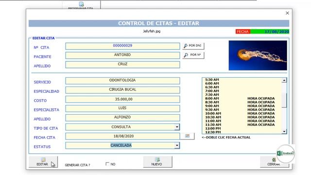 ?Control de Citas Excel Access - Editar Citas смотреть онлайн