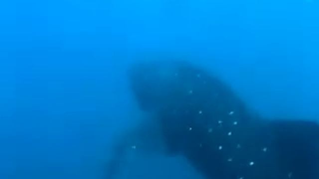 May23,2010 Jinbei-2.m4v