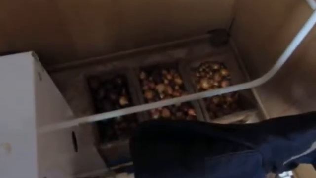 как правильно хранить лук зимой смотреть онлайн