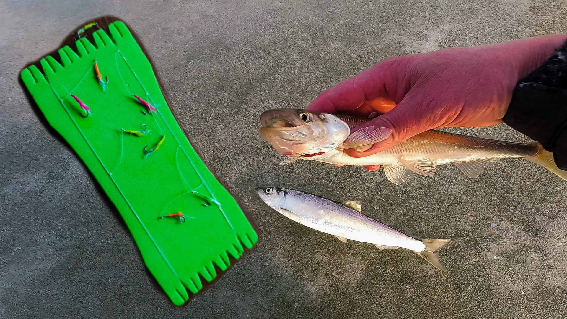 Я НЕ ОЖИДАЛ ТАКОГО КЛЁВА / РЫБАЛКА СО ЛЬДА НА БОРОДЫ смотреть онлайн