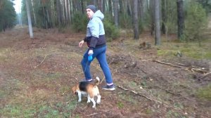 БОЙ СИРЕНОГОЛОВОГО И КАРТУН КЕТА. ШЕРЛОК И БАТЯ ПОПАЛИ В НЕПРИЯТНОСТИ. БРОС ШОУ ПЕТ.